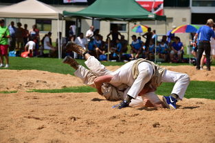 Kaiyun官方登录入口-赵鸿刚无法代表通背拳,他本是跑酷选手,绑定传武成网红扬名捷径