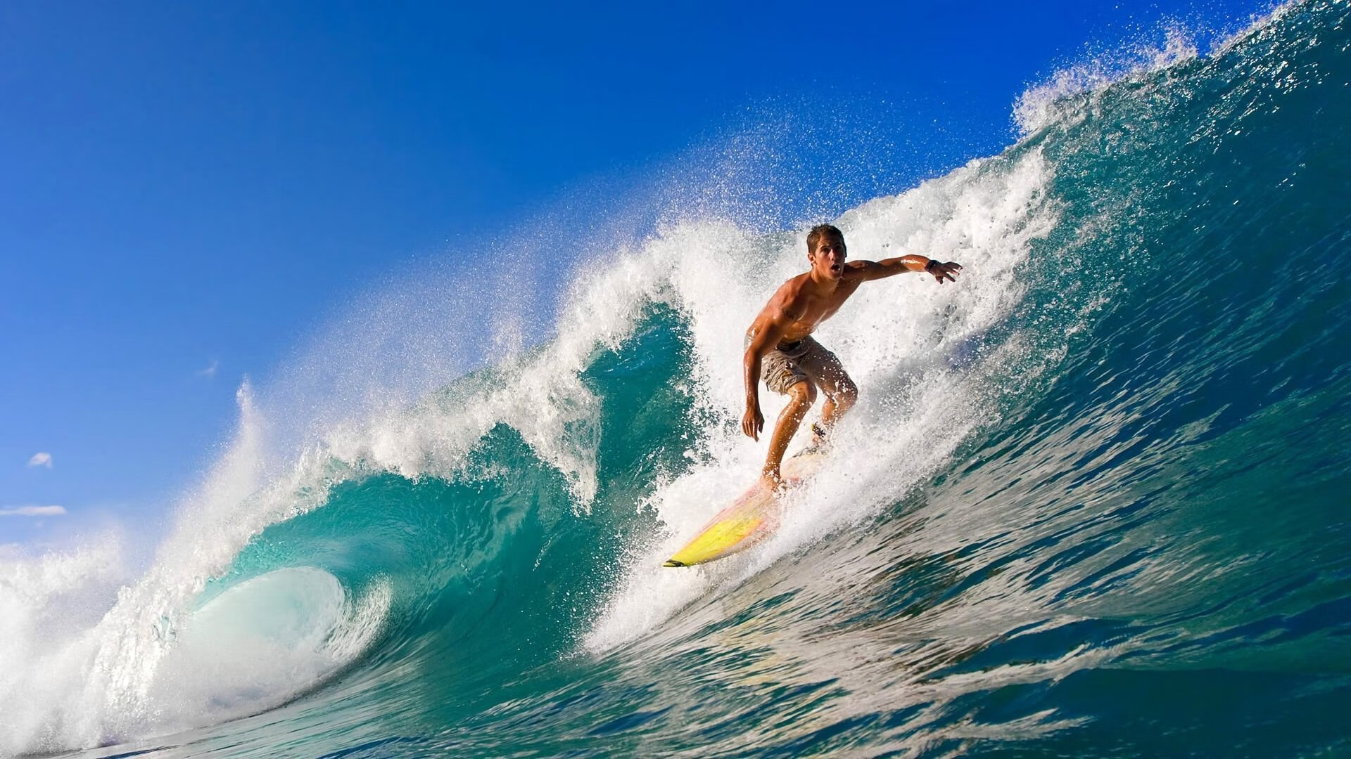 kaiyun网站-季后赛万众瞩目,谁能挺到最后?,季后赛列表