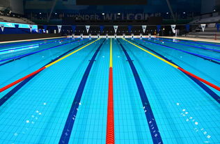 kaiyun.com-联盟与高校共建运动表现评估中心，支持科学训练